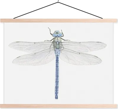 Produktbild von MuchoWow® Textilposter Eine Illustration einer Libelle auf weißem Hintergrund 40x30 cm mit holzfarbenen Rahmen - Bilder