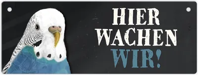 Produktbild von Metallschild mit Wellensittich blau Motiv und Spruch: Hier wachen wir!