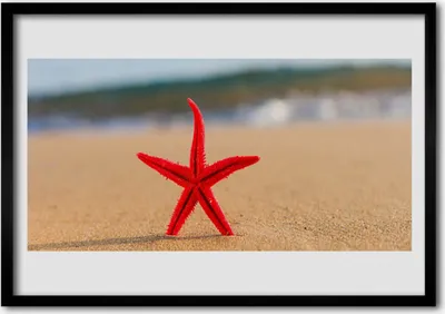 Produktbild von Bild 100x70 MDF-Rahmen Wandkunst Starfish-Strand-Kunst