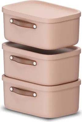 Produktbild von Rotho Aufbewahrungsbox 3er-Set 12L Maloja - Kunststoffbox 39,5 x 23,5 x 17,7 cm - Box mit Deckel - Stapelbox sicher verschließbar - Plastikbox