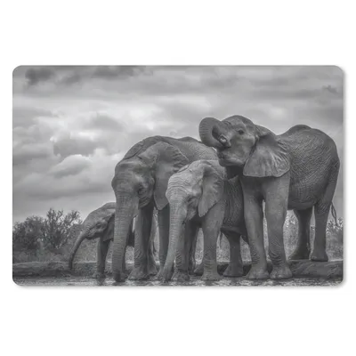 Produktbild von MuchoWow® Mauspad Mousepad Elefant - Tiere - Wasser - Schwarz und weiß 27x18 cm - Mousepads - Maus Mat - Pad - Mausunterlage - Büroartikel - Desk Matten