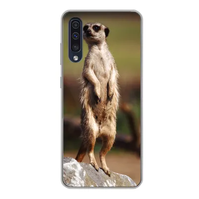 Produktbild von MuchoWow® Handyhülle Schutzhülle Hülle für Samsung Galaxy A50 Erdmännchen - Tier - Spiel Silikon Softcase Handy Hülle - Mobiltelefonhülle