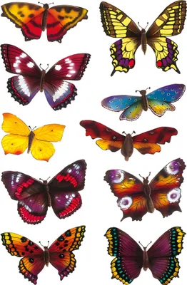 Produktbild von HERMA 3349 10x Sticker DECOR Schmetterlinge, beglimmert