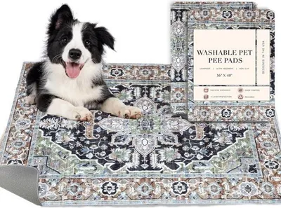 A border collie puppy lies on a washable pet pee pad with a Persian rug design. Another pad is stacked behind it, showing product information.