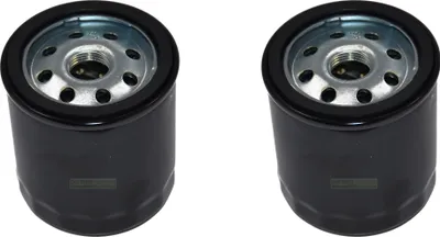 Obrázek produktu pro 2X Olejový filtr motor Briggs & Stratton 491056 807894 John Deere AM101207 long Ver