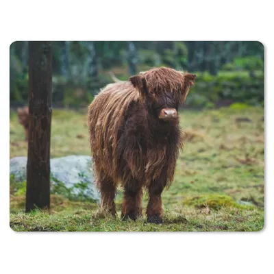 Produktbild von MuchoWow® Mauspad Mousepad Schottischer Hochländer - Wald - Moos 23x19 cm - Mousepads - Maus Mat - Pad - Mausunterlage - Schreibtischunterlage - Mauspad