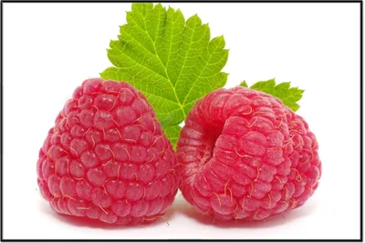 Produktbild von Wallario Wandbild Himbeeren mit grünem Blatt auf weißem Grund, Größe: 61 x 91,50 cm, Poster mit schwarzem Aluminiumrahmen
