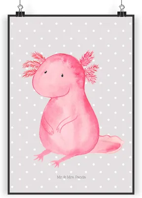 Produktbild von Mr. & Mrs. Panda Bild Axolotl Niedlich DIN A4 - Grau Pastell - Geschenk, Liebe, Wandbild, Plakat, Axolot, wanddeko, drucke, Zufrieden, Freundin, Fröhlich, wandkunst