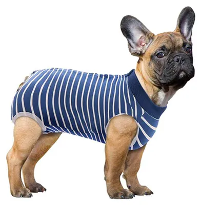 Produktbild von Genesungsanzug für Hunde und Katzen, Bodysuit für Bauchwunden, Genesungsshirt für männliche und weibliche Haustiere, chirurgischer Anzug, bequemer Anzug nach Operationen, Anti-Leck-Einteiler für Hunde