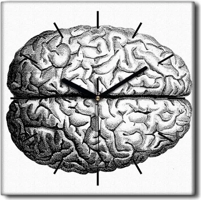 Produktbild von Coloray Uhr auf Leinwand 30x30 cm Wand Uhr Dekoration Wohnzimmer Segeltuch schwarze Hände -Brain Anatomy Vintage.