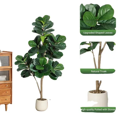 Obrázok produktu pre Umelý figovník, realistický dizajn, univerzálna dekorácia, 150 cm