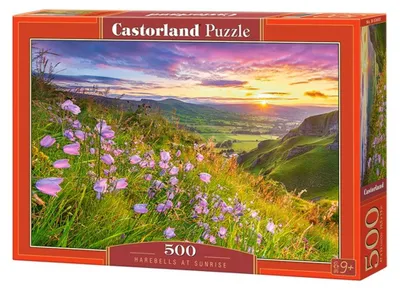 Obrázek produktu pro Puzzle 500 Dzwoneczki o wschodzie słońca B-53681