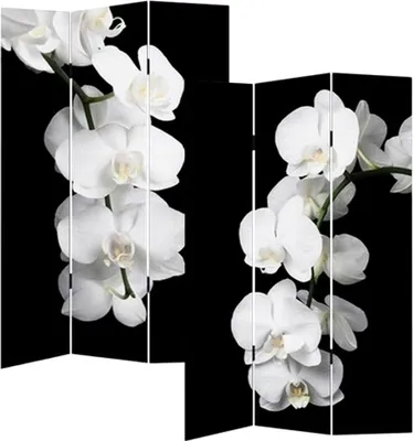 Produktbild von Paravent Orchidee HTI-Line