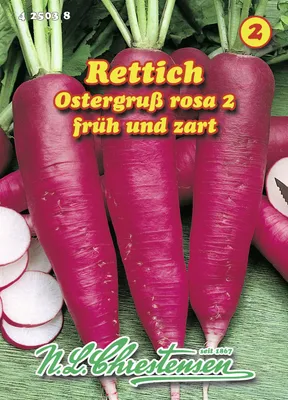 Produktbild von Rettich Ostergruß rosa 2 | Rettichsamen von N.L. Chrestensen