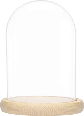 Produktbild von BELLE VOUS Glasglocke mit Holzboden - 20cm hohe Glaskuppel mit Holzboden - Glasglocke Groß Deko - transparente Glas Glocke - Glaskuppel Deko -
