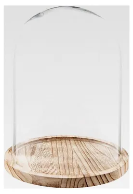 Produktbild von Glasglocke Ø 23 * 29 cm