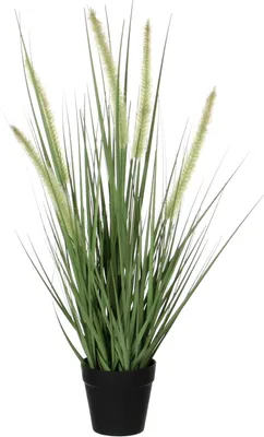 Produktbild von Mica Decorations Kunstliche Hundeschwanz-Zierpflanze - H53 x T30 cm - im schwarzen Topf