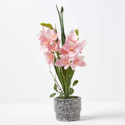 Produktbild von HOMESCAPES Künstliche pinke Orchidee im dunkelgrauen Zement-Topf, 58 cm