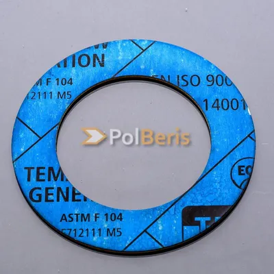 POLBERIS Dichtung DN80 3mm PN10/16/25/40 TEMASIL NG