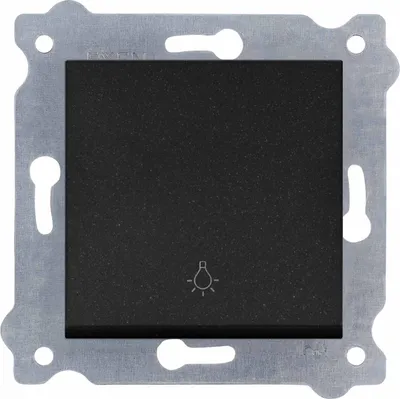 Image de Bouton-poussoir d'éclairage / Bouton-poussoir simple Noir métallisé 205/14E EXEN
