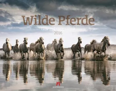 Produktbild von Wilde Pferde 2016