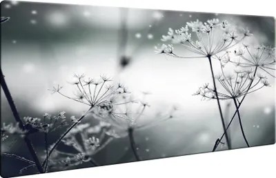Produktbild von Herdabdeckplatte Abdeckung Glaskeramikkochfeld Abdeckplatte 1-Teilig 80x52 Pusteblume Grau