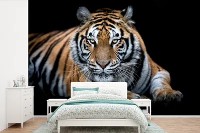Produktbild von MuchoWow® Fototapete für Wohnzimmer oder Schlafzimmer Wandtapete Vinyl Motivtapete Porträt - Tiger - Schwarz - 525x350 cm - Das Hintergrundbild