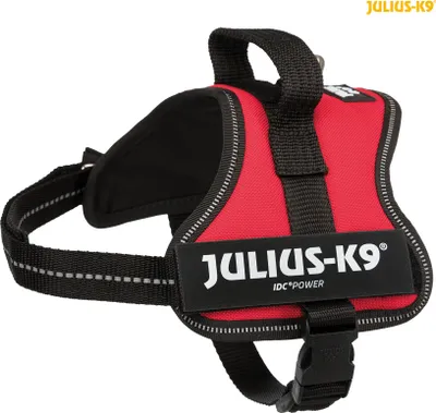 Image de Julius-K9® Harnais de sécurité Baby 1-Mini 40-53 cm/22 mm rouge