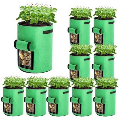 Image de Peviasot, lot de 10 sacs de plantation de 26,5 litres, avec fenêtre transparente et poignées de transport, sacs de plantation pliables pour serre, terrasse et jardin