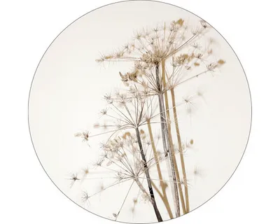 Produktbild von Glasbild Field Flowers II Ø 50 cm