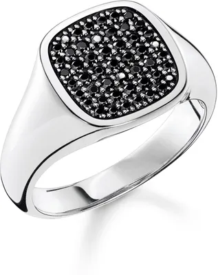 Obrázek produktu pro Thomas Sabo  TR2389-051-11-54