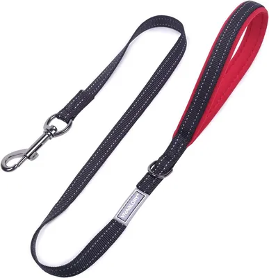 Reflektierende Nylon Hundeleine mit gepolstertem Griff für Training und Spaziergänge