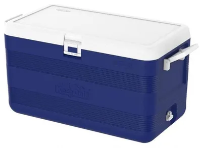 Immagine prodotto di Frigorifero portatile da 70 litri