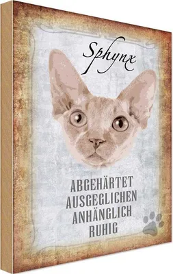 Produktbild von vianmo Holzschild 18x12 cm Sphynx Katze Tier Haustier