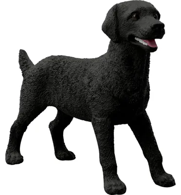 Obrázok produktu pre schleich 14923, 3 rok / roky, Čierna, Plast