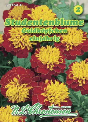 Produktbild von Studentenblume Goldköpfchen | Studentenblumensamen von N.L. Chrestensen