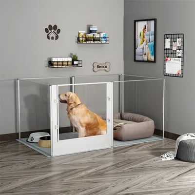 A golden retriever dog is inside a clear acrylic playpen with a dog bed and bowls.