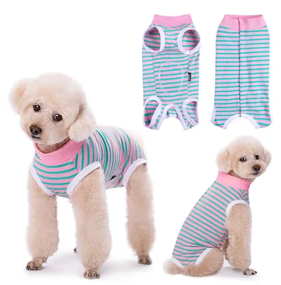 Produktbild von Solidchoice – Erholungspaket für Hunde, chirurgischer Body in Rosa, Größe S