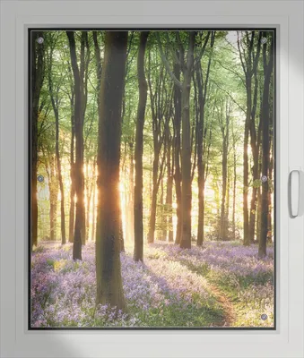 Produktbild von Wallario Lichtschutzbild, Dekorativer Sichtschutz Sonnenschutz 76 x 93 cm mit Motiv: Blaue Hasenglöckchen im Wald mit Sonnenstrahlen - Verdunklung ohne Bohren