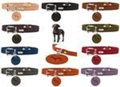 Produktbild von Hunter Halsband Aalborg schwarz, Größe: 42 cm / Breite: 1,6 cm