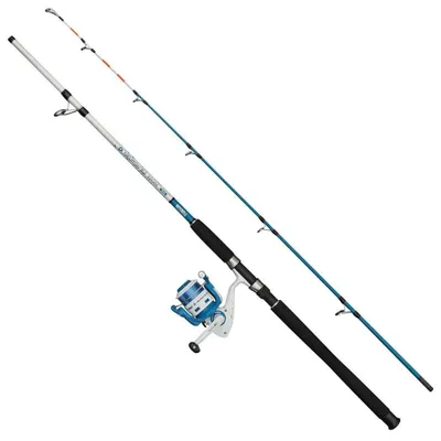Image de Mitchell Neuron Sw II Dorade CMB 4000 Ensemble de pêche au lancer Argent 2,10 m / 60-120 g Argent 2,10 m