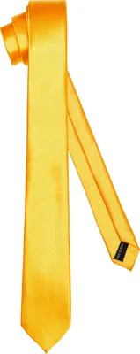 Image de Cravate classique pour hommes, brillante, couleurs variées TMS-5 150cmx5cm