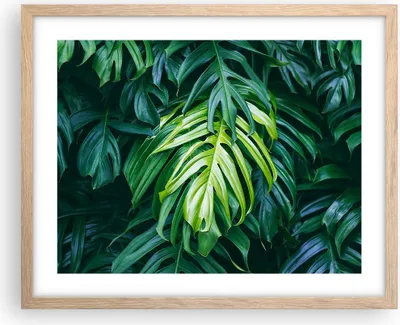 Produktbild von Gerahmtes Poster - Rahmen in heller Eiche - Blume Natur - 50x40 cm - Wand Bild - Wanddeko - Wandbilder - Kunstposter - Wandposter - Bilderrahmen - Bilder - Kunstdruck - Wandbild - P2NAA50x40-3951