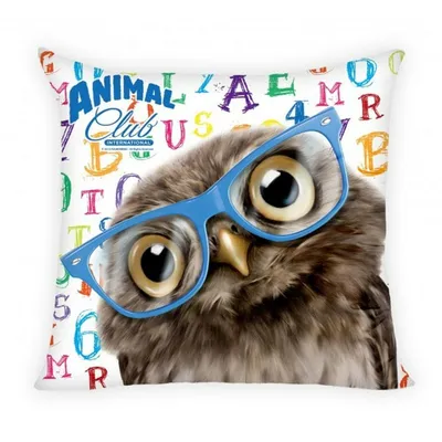Immagine prodotto di Cuscino Cuscino decorativo Gufo 40 x 40 cm