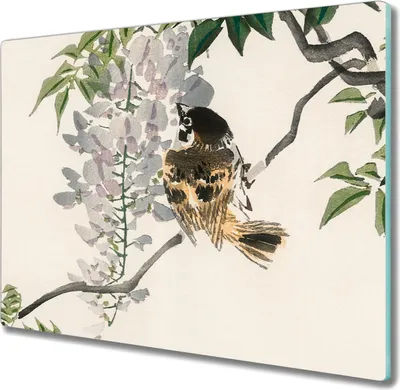 Produktbild von Coloray Schneidebrett Herdabdeckplatte 60x52 cm Kochplattenabdeckung Küchenbrett Hackbrett - Zweige Tier Vogel