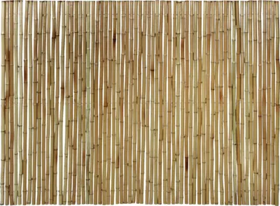 Produktbild von Sichtschutz floraworld Bambus Gala 300 x 90 cm natur
