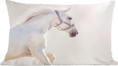Produktbild von MuchoWow® Zierkissen Sofakissen Wohnzimmer Dekokissen 60x40 cm Pferd - Weiß - Mähne - Kopfkissen - Polster mit Foto