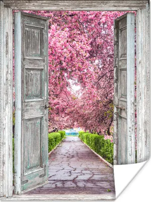 Produktbild von MuchoWow® Poster Sakura - Transparent - Baum - Kirschblüte 90x120 cm - Wohnzimmer