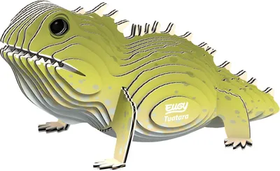 Image de EUGY - Kit de bricolage 3D lézard de pont