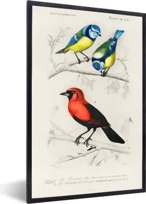 Produktbild von MuchoWow® MuchoWow® Gerahmtes Poster Vogel - Vintage - Zweig 40x60 cm - Poster mit zchwarzem Bilderrahmen - Papierdruck - Wandbilder